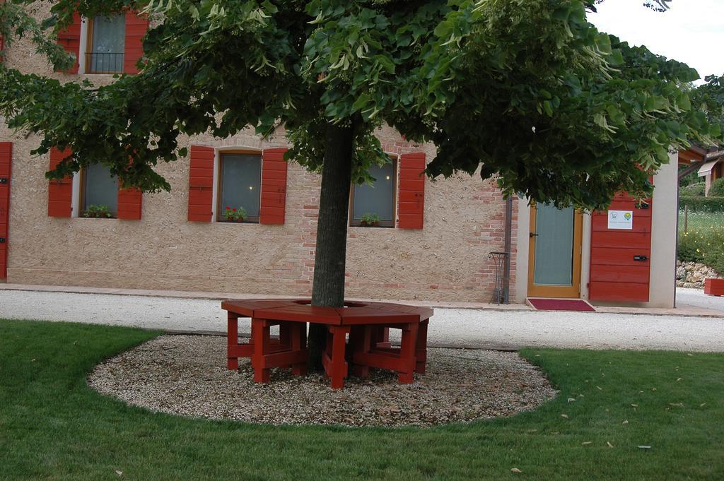 Agriturismo La Paterna Giavera del Montello エクステリア 写真